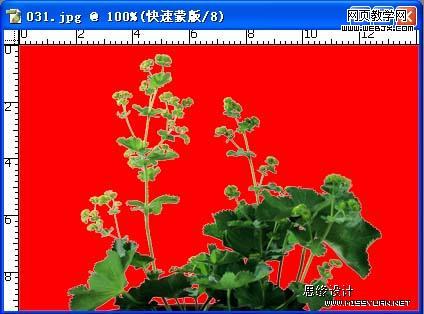 按此在新窗口瀏覽圖片
