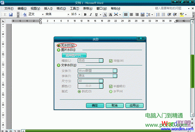 Word2003文檔中怎么樣去水印