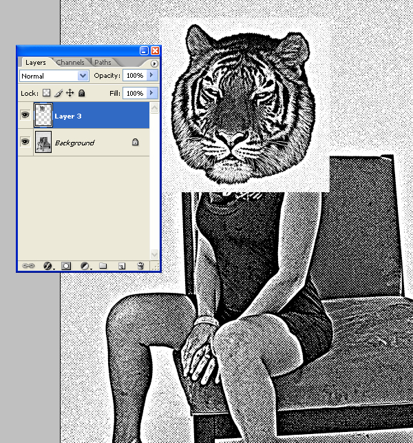 photoshop設計絲網印刷人身虎頭海報_webjx.com