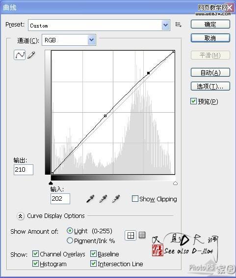 ps調(diào)色教程:卡通仿手繪美女-www.webjx.com