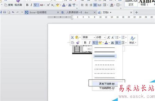 如何在Word(WPS)中給文字加下劃線并進行設置