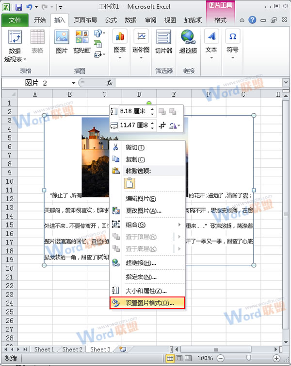 設(shè)置圖片格式