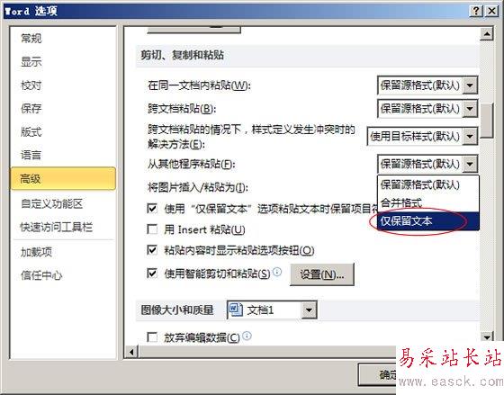 設置僅保留文本