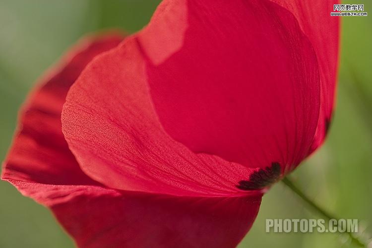 photoshop通道教程:修復(fù)通道調(diào)圖片-網(wǎng)頁設(shè)計(jì)