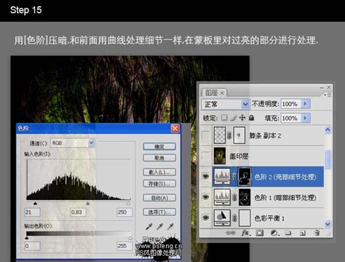photoshop合成:長滿青苔的石像人