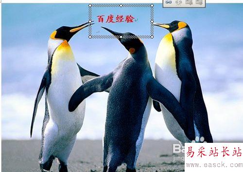 怎樣用Word給圖片加水印