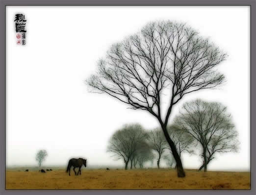 用photoshop打造照片仙境晶瑩之美