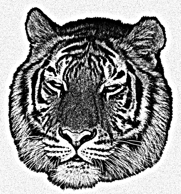 photoshop設計絲網印刷人身虎頭海報_webjx.com