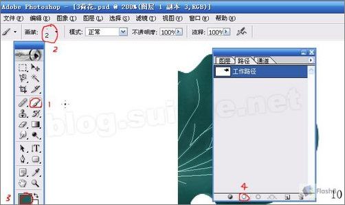 photoshop鼠繪精美荷花教程 photoshop鼠繪精美荷花教程