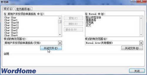 樣式選項卡