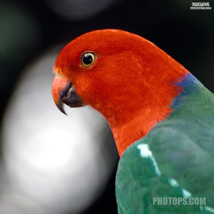 photoshop通道教程:修復(fù)通道調(diào)圖片-網(wǎng)頁設(shè)計(jì)