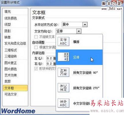 文本框選項(xiàng)卡