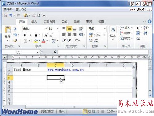 打印隱藏文字復選框