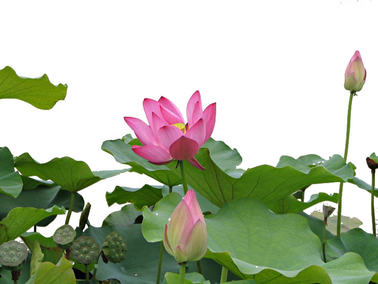 photoshop制作古典韻味的mm簽名特效_網(wǎng)頁設計webjx.com