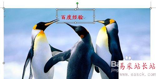 怎樣用Word給圖片加水印