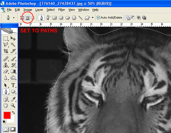 photoshop設計絲網印刷人身虎頭海報_webjx.com