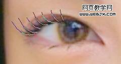 photoshop教程:美女照片仿手繪-webjx.com