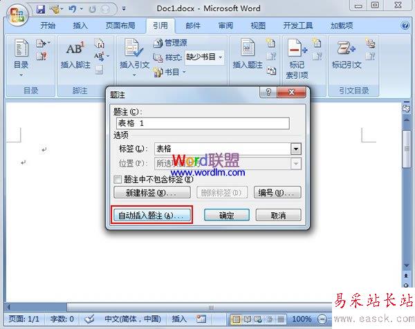 設置好題注名稱后單擊自動插入題注按鈕