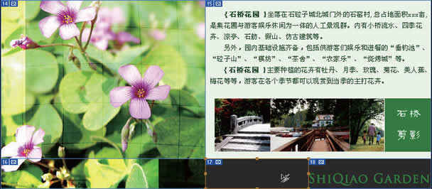 photoshop制作網(wǎng)站首頁(3):切割網(wǎng)頁圖片_網(wǎng)頁設(shè)計webjx.com轉(zhuǎn)載