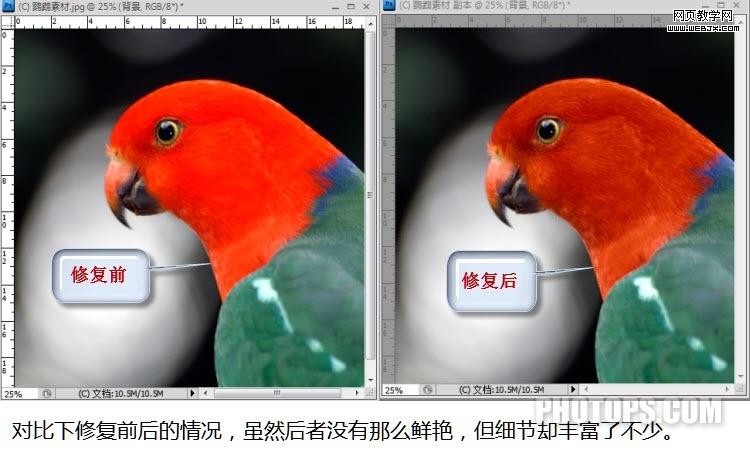 photoshop通道教程:修復(fù)通道調(diào)圖片-網(wǎng)頁設(shè)計(jì)
