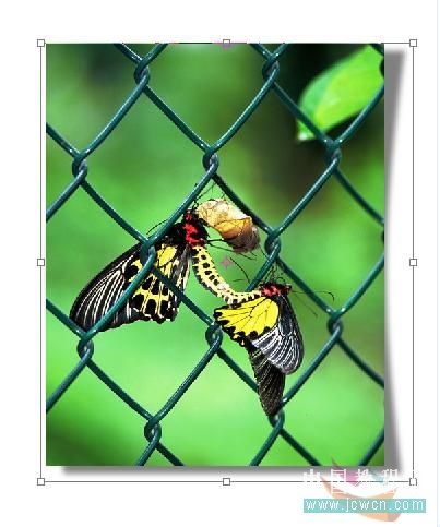 photoshop實(shí)例教程:打造照片立體環(huán)境效果-網(wǎng)頁設(shè)計