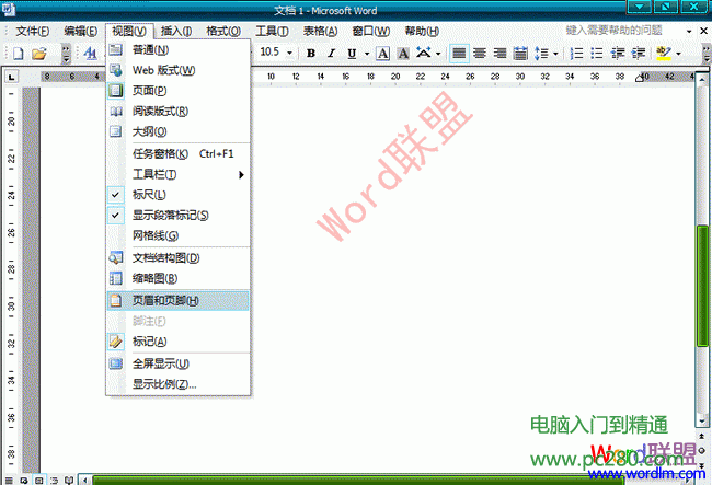 Word2003文檔中怎么樣去水印