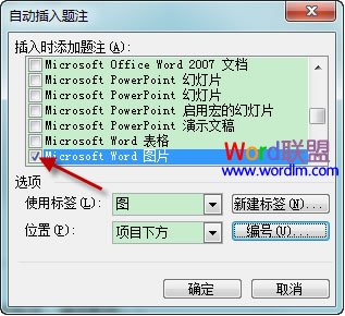 Word2003如何自動插入題注