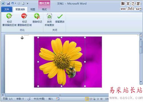 Word 2010去除圖片背景小技巧