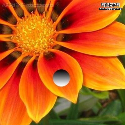 photoshop入門教程:繪制質(zhì)感水珠_網(wǎng)頁設(shè)計