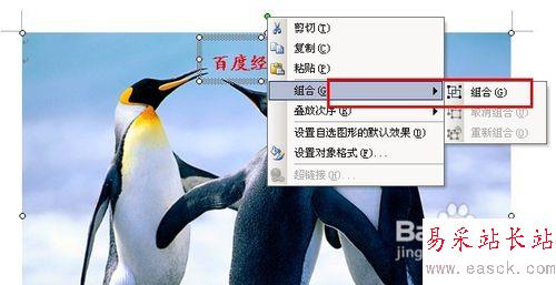 怎樣用Word給圖片加水印