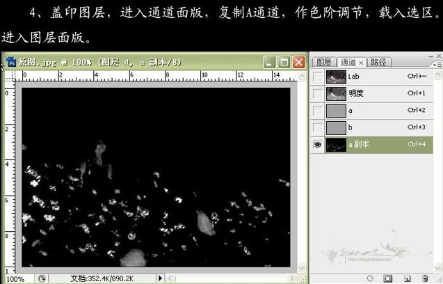 photoshop婚紗照片:走過了四季