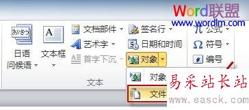 文本選項(xiàng)組