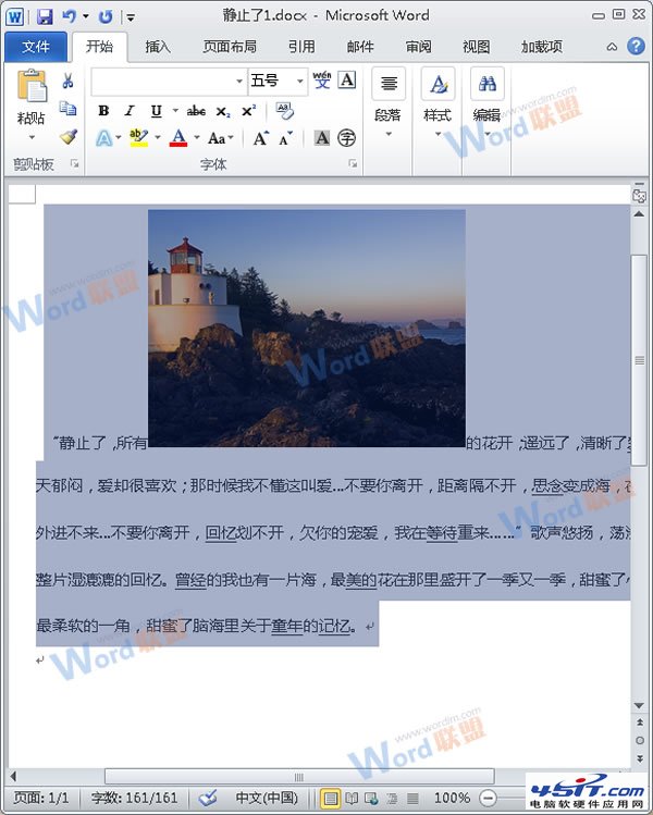 怎么把Word的內容以圖片格式插入到Excel2010中? 武林網