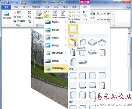 Word旋轉圖片（三）