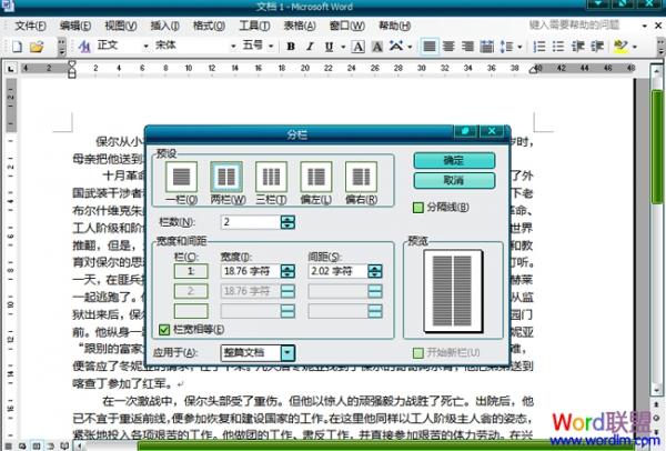 Word2003文檔中怎么分欄