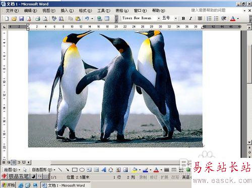 怎樣用Word給圖片加水印