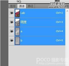 按此在新窗口瀏覽圖片