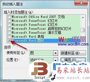 自動插入題注對話框