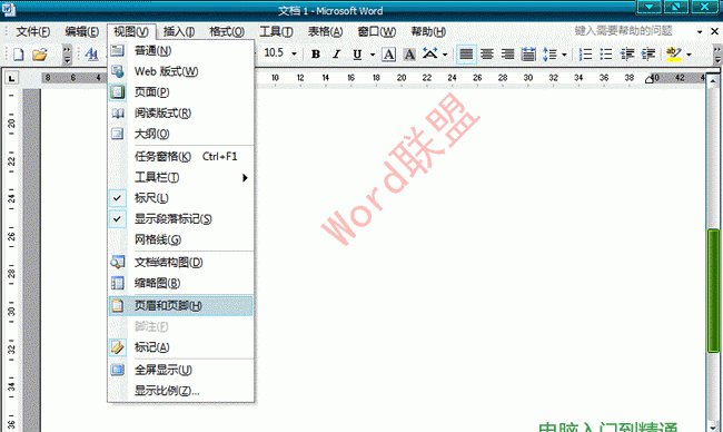 Word2003文檔中怎么樣去水印