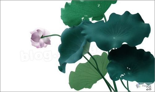 photoshop鼠繪精美荷花教程 photoshop鼠繪精美荷花教程