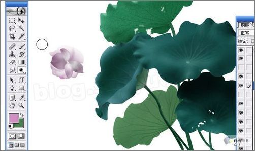 photoshop鼠繪精美荷花教程 photoshop鼠繪精美荷花教程