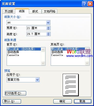 Word2003紙張和文檔網格的設置