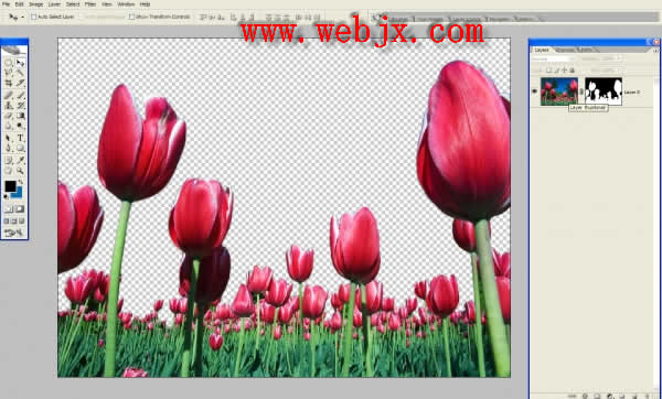 photoshop合成奇幻光線美麗的海底花園_網頁設計
