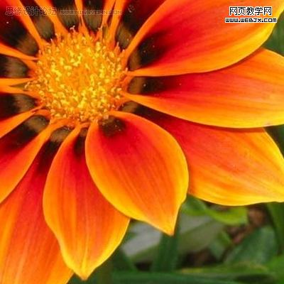 photoshop入門教程:繪制質(zhì)感水珠_網(wǎng)頁設(shè)計