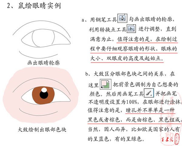 photoshop教程:詳解眼睛的鼠繪過程_webjx.com