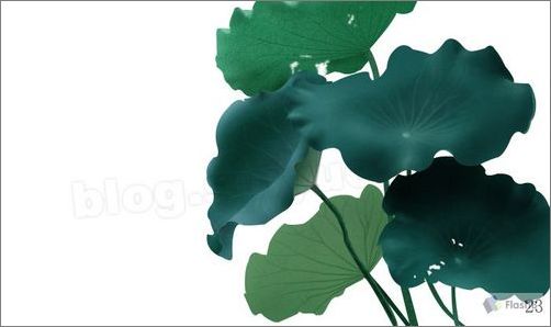 photoshop鼠繪精美荷花教程 photoshop鼠繪精美荷花教程