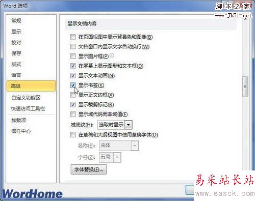 選中顯示書簽復選框