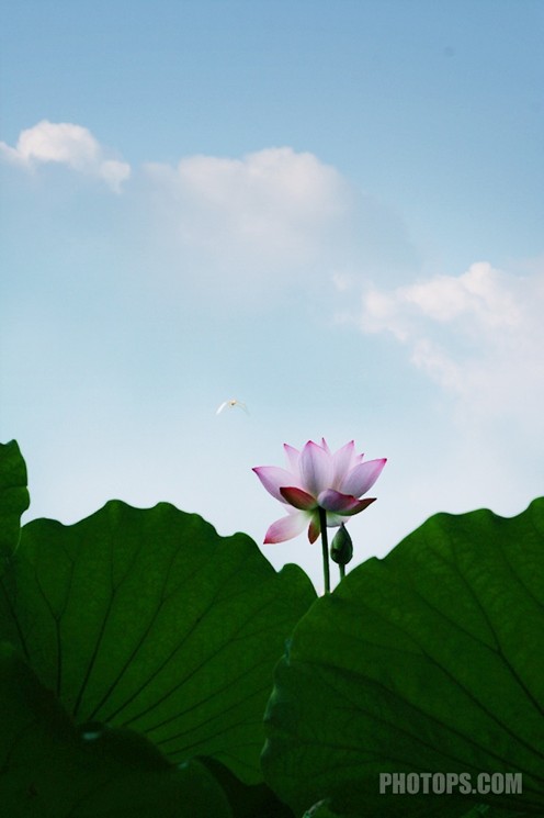 逆光照片調整,photoshop教程