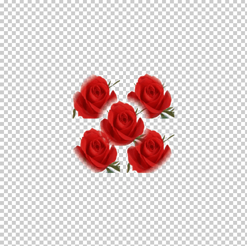 photoshop制作另類的紅玫瑰花動畫_webjx.com