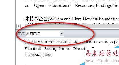 Word2013中如何刪除尾注上的橫線